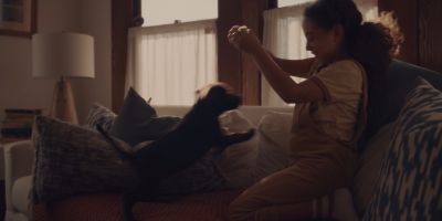 Still from Commercial: The Farmer’s Dog — "Forever" that has been tagged with: living room