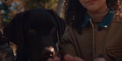 Still from Commercial: The Farmer’s Dog — "Forever" that has been tagged with: child