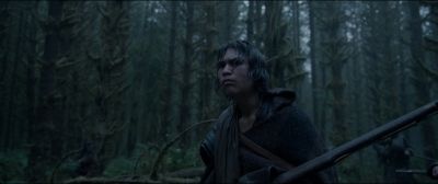 Still from The Revenant (2015) that has been tagged with: low-angle