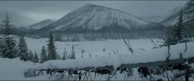 Still from The Revenant (2015) that has been tagged with: snow