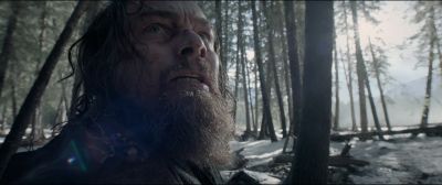 Still from The Revenant (2015) that has been tagged with: looking up