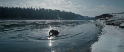 Still from The Revenant (2015) that has been tagged with: snow