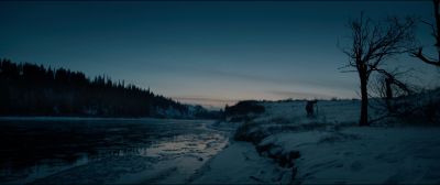 Still from The Revenant (2015) that has been tagged with: wilderness