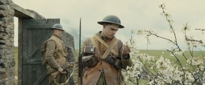 Still from 1917 (2019) that has been tagged with: soldier & flowers
