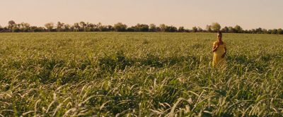 Still from Django Unchained (2012) that has been tagged with: field