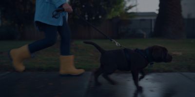 Still from Commercial: The Farmer’s Dog — "Forever" that has been tagged with: suburban street