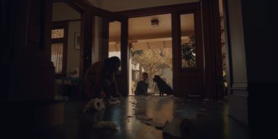 Still from Commercial: The Farmer’s Dog — "Forever" that has been tagged with: squatting & interior
