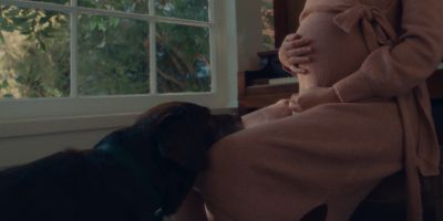 Still from Commercial: The Farmer’s Dog — "Forever" that has been tagged with: pregnant