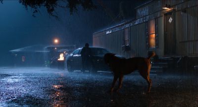 Still from Killer Joe (2011) that has been tagged with: dog & fire
