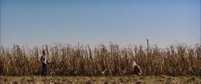 Still from Looper (2012) that has been tagged with: exterior & cornfield