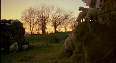 Still from My Own Private Idaho (1991) that has been tagged with: ffa07a