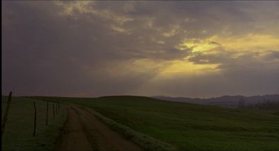 Still from My Own Private Idaho (1991) that has been tagged with: field