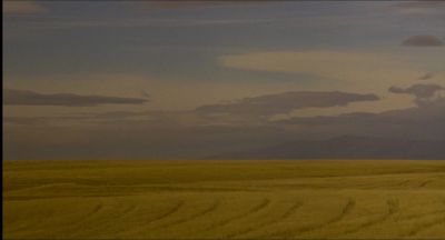 Still from My Own Private Idaho (1991) that has been tagged with: exterior & cornfield
