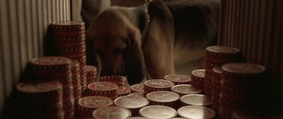 Still from O Brother, Where Art Thou? (2000) that has been tagged with: insert & dog