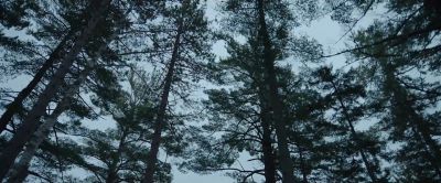 Still from Commercial: Poland Spring — "Origin - Patrick Dempsey"
