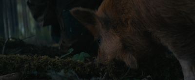 Still from Pig (2021) that has been tagged with: forest