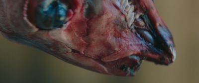 Still from Swallow (2019) that has been tagged with: exterior & meat