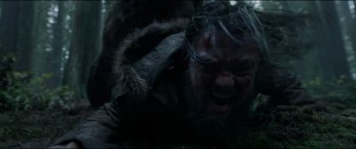 Still from The Revenant (2015) that has been tagged with: medium close-up & bear