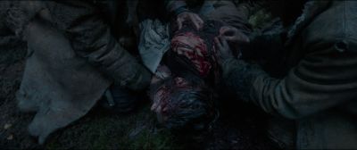 Still from The Revenant (2015) that has been tagged with: gore & day