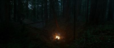 Still from The Revenant (2015) that has been tagged with: group-shot & night