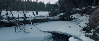 Still from The Revenant (2015) that has been tagged with: looking back & woods