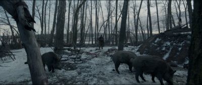 Still from The Revenant (2015) that has been tagged with: hunting