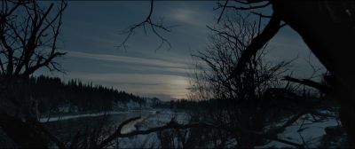 Still from The Revenant (2015) that has been tagged with: sunset & wilderness