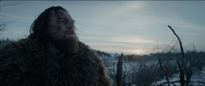 Still from The Revenant (2015) that has been tagged with: field