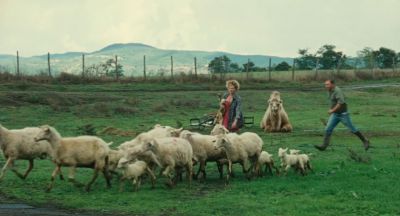 Still from The Wonders (2014) that has been tagged with: field & farm