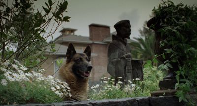 Still from Y Tu Mamá También (2001) that has been tagged with: dog & statue