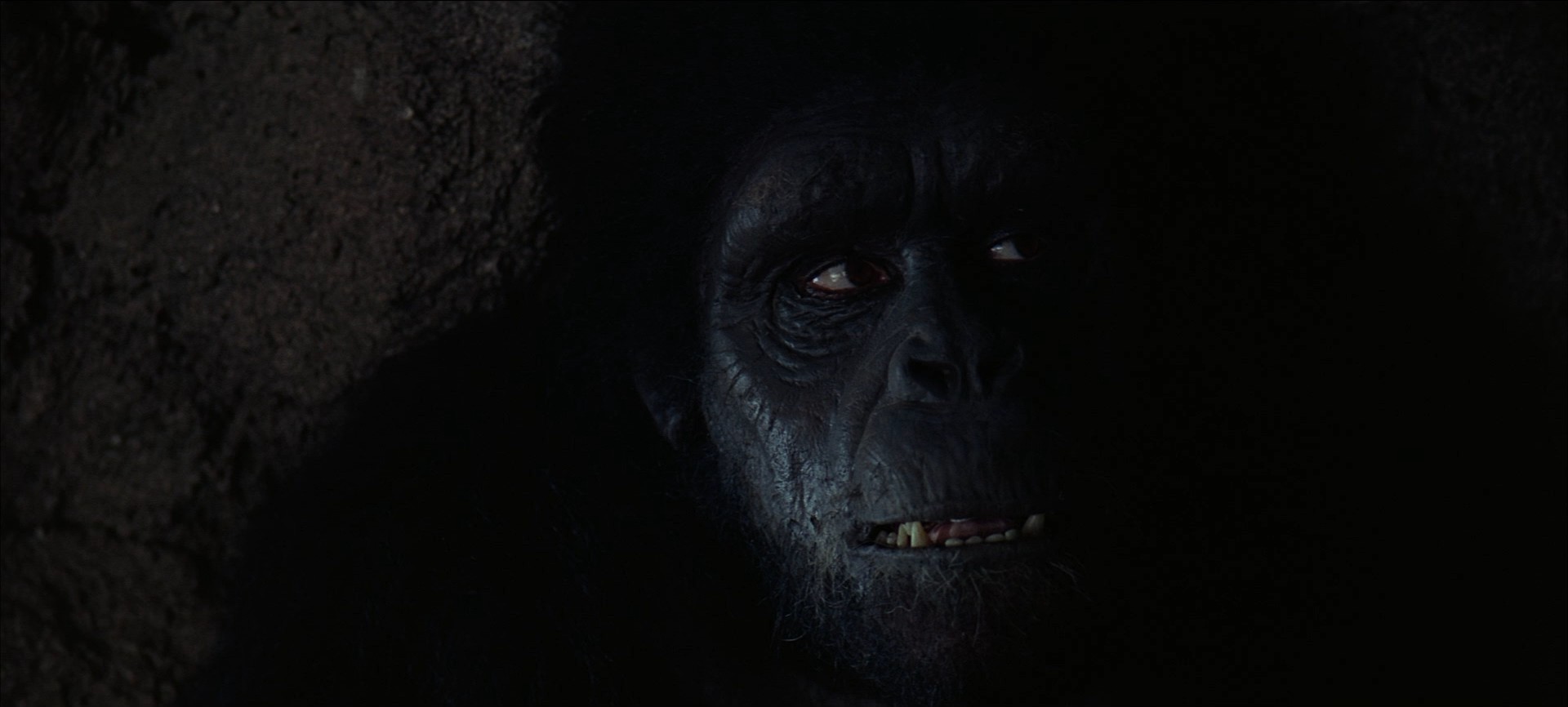 2001: A Space Odyssey (1968) stills and screengrabs | SHOT.CAFE