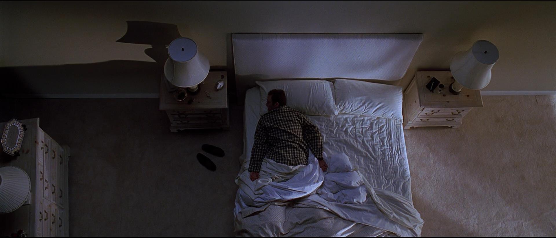 American Beauty (1999) Stills And Screengrabs 