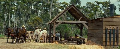 Still from 12 Years a Slave (2013) that has been tagged with: extreme wide & group-shot & day & horses