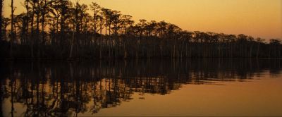 Still from 12 Years a Slave (2013) that has been tagged with: river & sunset & golden hour & wide shot