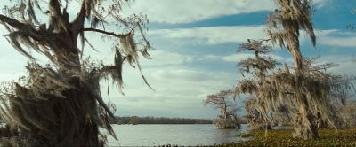 Still from 12 Years a Slave (2013) that has been tagged with: swamp & day