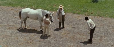 Still from 12 Years a Slave (2013) that has been tagged with: bowing & day & high-angle