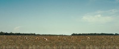 Still from 12 Years a Slave (2013) that has been tagged with: extreme wide & exterior & working & group-shot