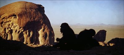 Still from 2001: A Space Odyssey (1968) that has been tagged with: day & ape