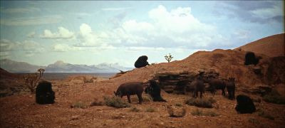 Still from 2001: A Space Odyssey (1968) that has been tagged with: establishing shot & mountains