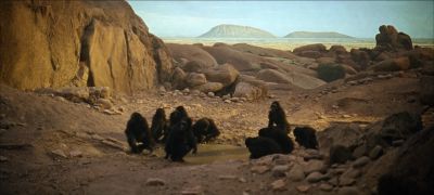 Still from 2001: A Space Odyssey (1968) that has been tagged with: 546a2f & group-shot & chimpanzee & wide shot