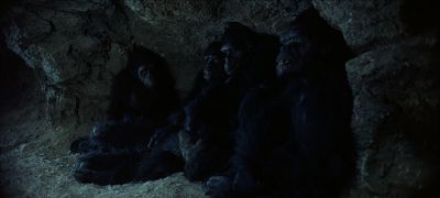 Still from 2001: A Space Odyssey (1968) that has been tagged with: group-shot & ape & night & interior