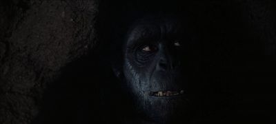 Still from 2001: A Space Odyssey (1968) that has been tagged with: interior & close-up & gorilla