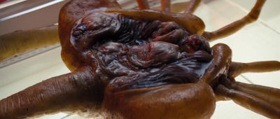 Still from Alien (1979) that has been tagged with: 742f37