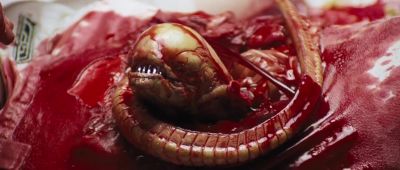 Still from Alien (1979) that has been tagged with: ab4f53 & blood & insert & gore & aliens