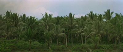 Still from Apocalypse Now (1979) that has been tagged with: vietnam