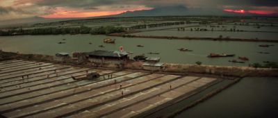 Still from Apocalypse Now (1979) that has been tagged with: establishing shot & rice paddy