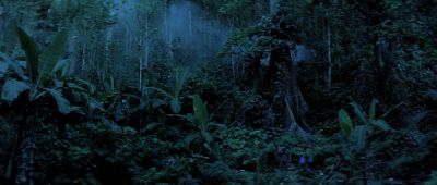 Still from Apocalypse Now (1979) that has been tagged with: establishing shot & jungle