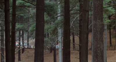 Still from Being There (1979) that has been tagged with: police car & wide shot & exterior & day