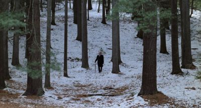 Still from Being There (1979) that has been tagged with: 0f0f0f & snow