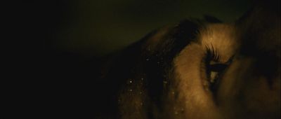Still from Buried (2010) that has been tagged with: extreme close-up & interior